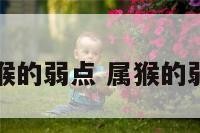十二生肖猴的弱点 属猴的弱点是什么