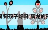 属龙要属狗孩子好吗 属龙的孩子属狗