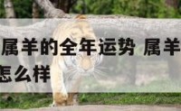 2019年属羊的全年运势 属羊的2019年运势怎么样