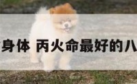 丙火命身体 丙火命最好的八字例子