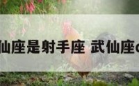 武仙座是射手座 武仙座α星