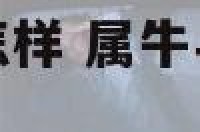 属相属牛和属羊怎样 属牛与属羊相结合怎么样