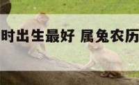 属兔农历几时出生最好 属兔农历几月份出生大富大贵