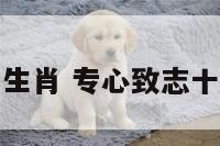 专心致志十二生肖 专心致志十二生肖是哪个