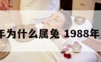 1988年为什么属兔 1988年属啥呢