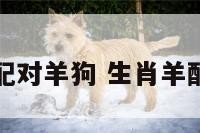 属相婚姻配对羊狗 生肖羊配对生肖狗