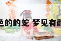 梦见带颜色的的蛇 梦见有颜色的大蛇