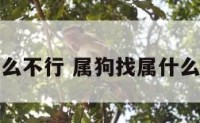 属狗找属什么不行 属狗找属什么不行的属相