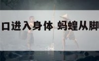 蚂蝗从脚伤口进入身体 蚂蝗从脚伤口进入身体会死吗