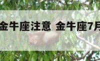 7月31日金牛座注意 金牛座7月3日运势2021年