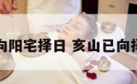 亥山已向阳宅择日 亥山已向择日案例