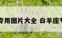 白羊座专用图片大全 白羊座专用壁纸