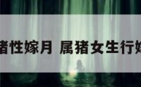 属猪性嫁月 属猪女生行嫁月