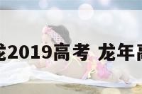 属龙2019高考 龙年高考