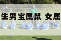 女属龙男属蛇生男宝属鼠 女属龙男属蛇可以在一起吗
