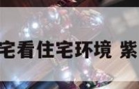 紫薇田宅看住宅环境 紫薇 田宅