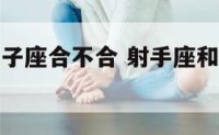 射手座和狮子座合不合 射手座和狮子座合不合适
