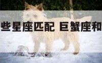 巨蟹座和哪些星座匹配 巨蟹座和哪些星座匹配最好