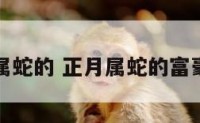 正月属蛇的 正月属蛇的富豪名人