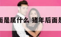 属猪后面是属什么 猪年后面是属什么