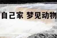 梦见动物跑进自己家 梦见动物跑进家有什么预兆