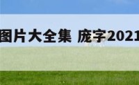 庞字姓氏图片大全集 庞字2021年最新图片