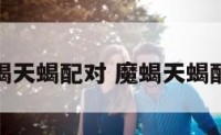 魔羯天蝎配对 魔蝎天蝎配对