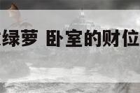 卧室的财位放绿萝 卧室的财位放绿萝风水好吗