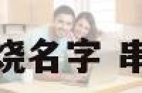 最霸气的舞蹈串烧名字 串烧舞蹈名称霸气