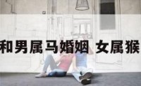 女属猴和男属马婚姻 女属猴 男属马