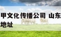 山东奇门遁甲文化传播公司 山东奇门遁甲文化传播公司地址