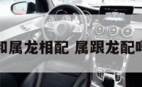 和属龙相配 属跟龙配吗