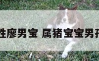 属猪姓廖男宝 属猪宝宝男孩取名