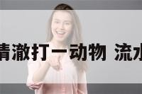 流水清澈打一动物 流水清清