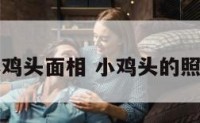 小鸡头面相 小鸡头的照片
