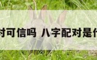 八字配对可信吗 八字配对是什么意思
