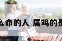 属鸡是什么命的人 属鸡的是什么命呢