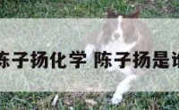 陈子扬化学 陈子扬是谁