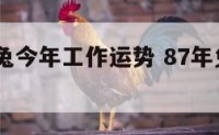 1987属兔今年工作运势 87年兔今年工作运势