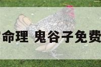 鬼谷子的八字命理 鬼谷子免费八字终身详批