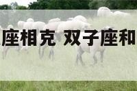 双子座和什么座相克 双子座和什么座相克相冲