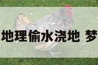 梦见往自已地理偷水浇地 梦见自己偷水