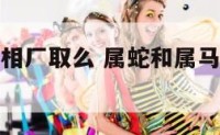 属蛇和属马相厂取么 属蛇和属马的人在一起会怎么样