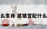 属猪益配什么生肖 属猪宜配什么生肖最合适