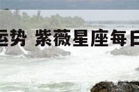 紫薇网星座运势 紫薇星座每日运势查询2020在线