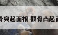 颧骨突起面相 颧骨凸起面相
