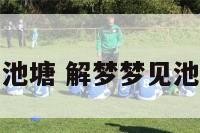 解梦梦见池塘 解梦梦见池塘里有鱼