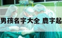 带鹿字男孩名字大全 鹿字起名男孩