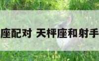 天射手座配对 天枰座和射手座婚姻