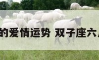 双子座6月的爱情运势 双子座六月运势如何